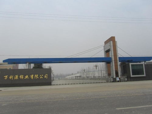 貴州萬利源計(jì)算機(jī)系統(tǒng)集成 驅(qū)動(dòng)數(shù)字化轉(zhuǎn)型的專業(yè)力量